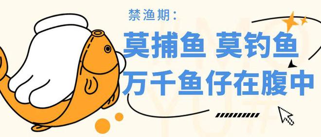 鱼莫钓鱼 万千鱼仔在腹中ky开元棋牌禁渔期：莫捕(图1)
